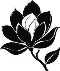 Elegant magnolia silhouette vector illustration