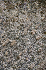 Close-up view of a granite rock showing its granular texture and mineral composition with flecks of dark and light grains creating a speckled pattern on the rough surface