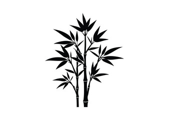 Obraz premium Bamboo silhouette black vector white background