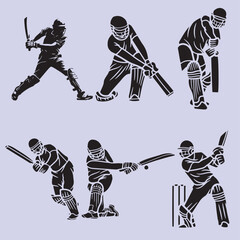 Collection of diverse cricket players in action poses