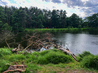 Summer Lake bank cloudy weather. Pushcha Vodytsia district