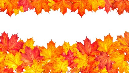 Fototapeta premium High Resolution Autumn Leaves Border on White Background