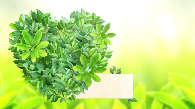 Heart from green leaves and label from recycled paper on sunny background. Love of nature. Reuse, renewable resources. Eco-friendly, Ecology, go green, zero waste, responsible consumption concept