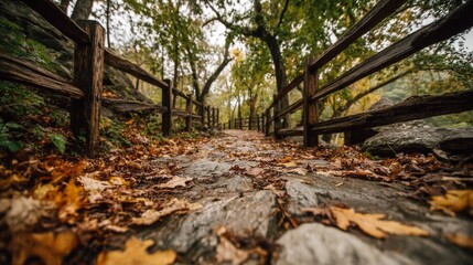 Fototapeta premium Autumnal Path Through a Stone Walkway in a Forest