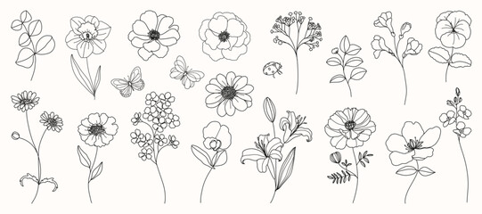 Floral and botanical doodle element vector. Set of leaf, foliage wildflowers, plants, bloom, herb and butterfly. Hand drawn of blossom spring season vectors for decor, website, wedding card and shop. © babeer