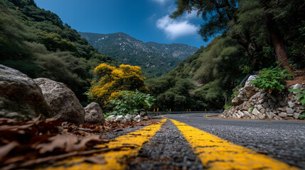 Scenic Mountain Road Surrounded by Lush Forest and Rocks