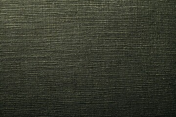 Close-up of a dark textured fabric.  Fine parallel lines create a woven pattern.  Muted dark gray-green tone