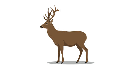 Majestic deer in profile view with detailed antlers on white background