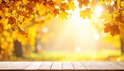 Autumn sunlight filters through golden maple leaves scenic park nature photography warm atmosphere close-up view seasonal beauty