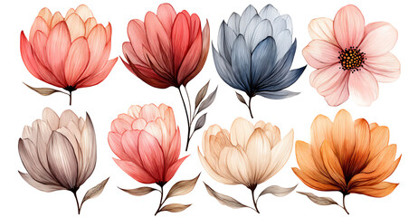 Beautiful watercolor floral illustrations in various colors.