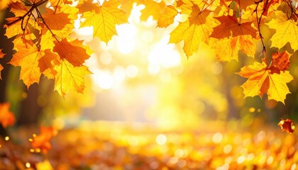 Fototapeta premium Captivating autumn leaves falling nature park photography golden hour close-up seasonal beauty