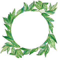 Green peony leaves. Botanical wreath of green branches and leaves. Floral Design elements. Perfect for invitations, greeting cards, prints, posters, packing