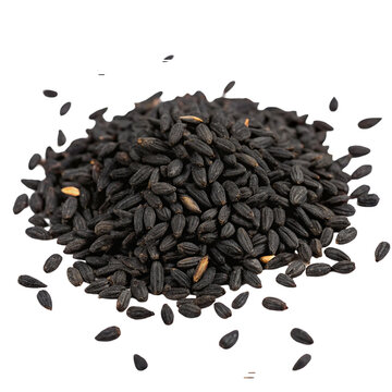 Black cumin seeds isolated on transparent background  
