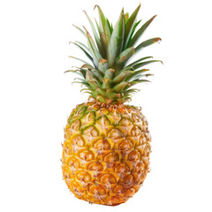 Single pineapple, bright yellow/gold skin, vibrant green crown