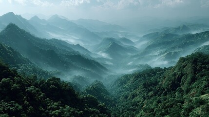 Misty mountain range, lush forests