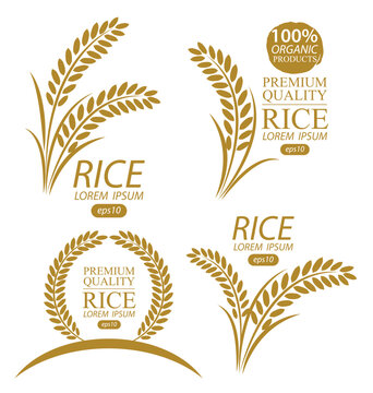 Rice. Logo design template vector illustration.