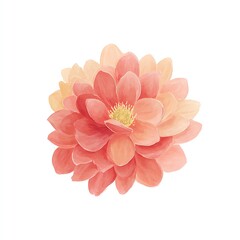 Fototapeta premium Peach and Coral Flower Blossom