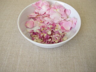 Fresh and dried petals from the wild dog rose on a plate, Rosa canina