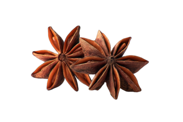 Close-up of two star anise spice.  Rich, reddish-brown color, detailed star shapes,  isolated on black background