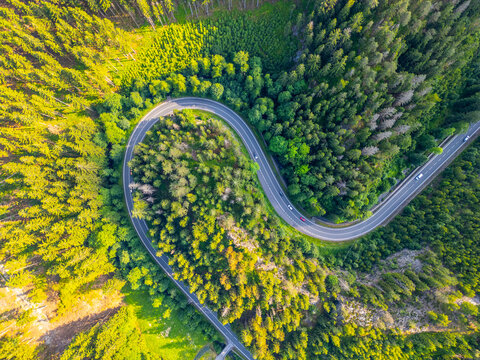 A serpentine asphalt road meanders through a lush forest valley, surrounded by dense green trees under a bright, clear sky. Vehicles are visible navigating the winding path. - Powered by Adobe