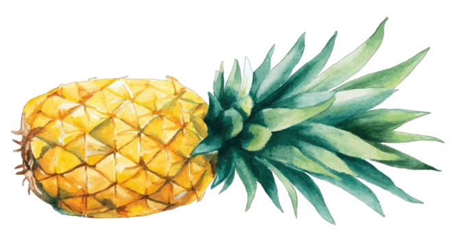 Watercolor pineapple illustration (2)