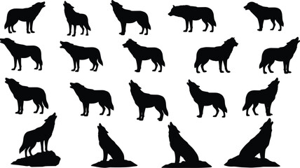 A collection of diverse wolf silhouettes in various dynamic poses including howling, sitting, and standing, a vector illustration of wild animals.