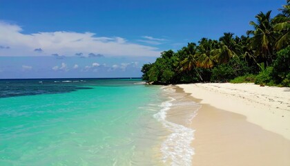 Naklejka premium A white sandy beach meets turquoise water, bordered by palm trees and lush vegetation under a blue sky.