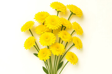 Yellow flowers on white background