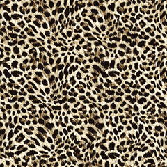leopard skin pattern