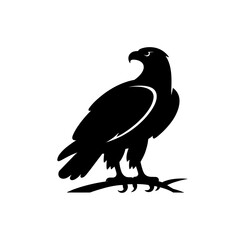 Fototapeta premium Silhouette of a majestic eagle standing tall on a branch with wings folded in a graceful pose