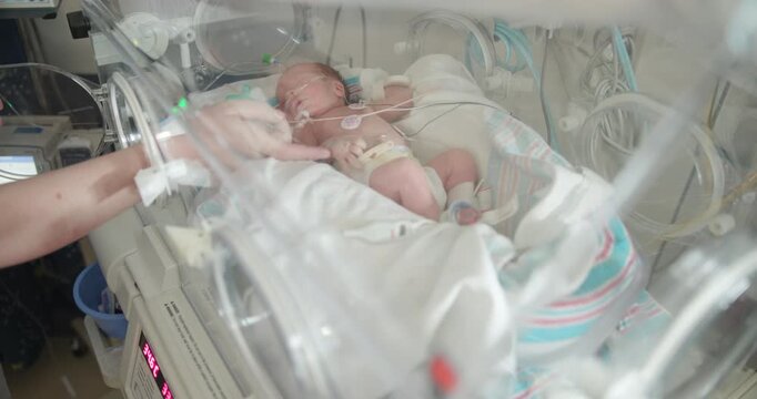 Little Premature Baby in The NICU