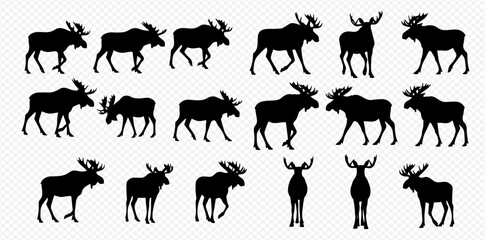 A collection of black moose silhouettes in various poses, including walking, standing, and running, isolated on a transparent background.