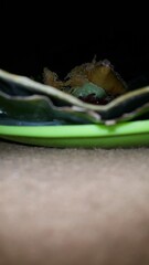 Low angle shot of traditional snacks in Indonesia. a popular snack with brown sugar sauce and grated coconut.