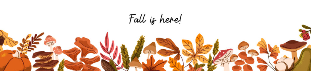 Banner design with border from autumn leaves and mushrooms. Template with bottom frame from fallen foliage, boletus, faded leafage, fungus. Forest nature in fall season. Flat vector illustration