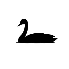 Swan silhouette