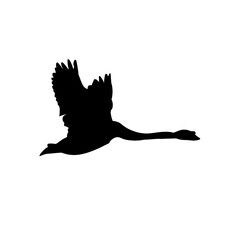 Swan silhouette