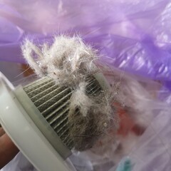 Small vacuum cleaner filter. Good housekeeping is full of pet hair, resulting in a clean home and a healthy body.