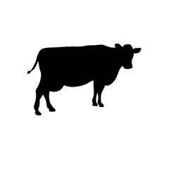 Cow silhouette