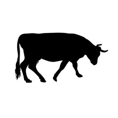 Cow silhouette