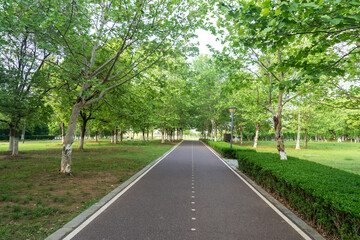 New pathway and beautiful trees track for running or walking and cycling relax in the park