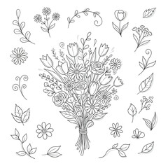 Fototapeta premium HandDrawn Floral Bouquet and Decorative Elements.