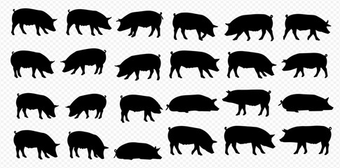 A graphic set of multiple black pig silhouettes in various poses, including standing, walking, eating, and lying down, arranged in a grid pattern.