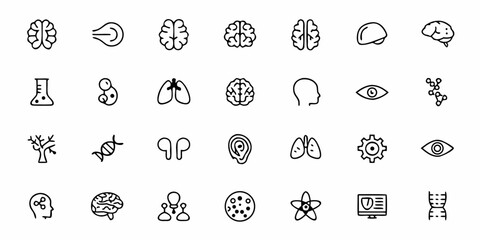 Nervous System and Brain Anatomy Line Art Icons &mdash; Minimal Neurons, Spinal Cord, Nerve Cells, Brain Lobes, and Neurology Symbols

