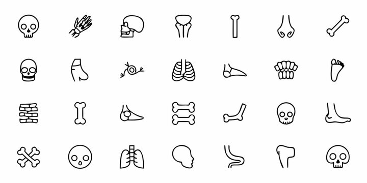 Human Skeleton and Bone Structure Line Art Icons &mdash; Minimal Skull, Spine, Ribs, Pelvis, Joints, and Orthopedic Anatomy Symbols