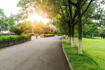 Empty urban road and buildings in the city