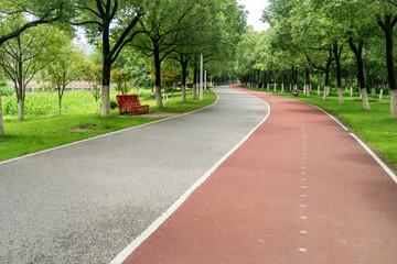 New pathway and beautiful trees track for running or walking and cycling relax in the park