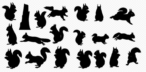 A collection of black squirrel silhouettes in various dynamic and static poses, isolated on a transparent background.
