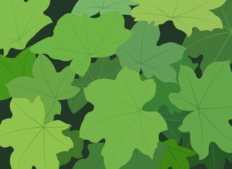 green leaves background