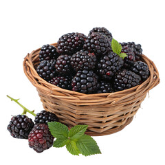 Basket of fresh blackberry isolated on transparent background  

