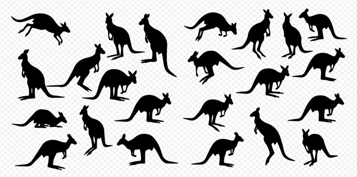 A collection of black kangaroo silhouettes in various dynamic and static poses, including jumping, standing, and hopping.